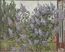 Bush of lilac. 1997. Oil on canvas. 80x100 cm (31.5"x39.4") ($800)