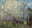 Цветущая яблоня. 2001. Х., м. 65Х80